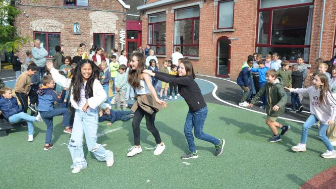 Lokerse basisschool Veertjesplein pioniert met valveilige speelplaats: “Geschaafde knieën en armen zijn verleden tijd hier”