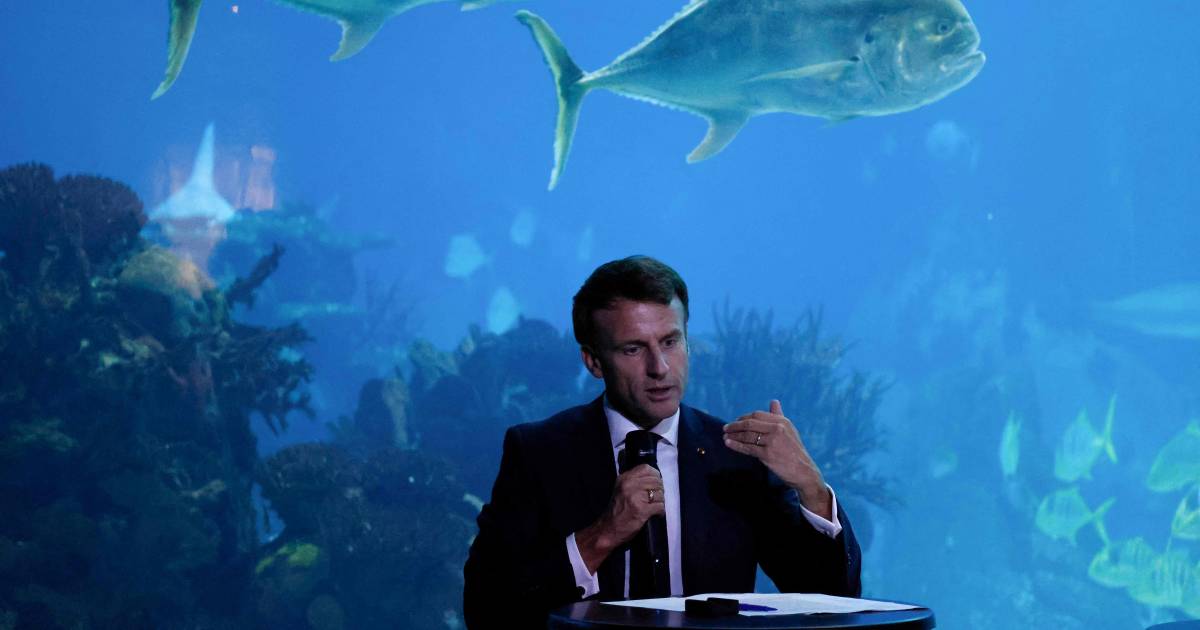 Il presidente francese Macron si oppone all’estrazione mineraria in alto mare: ‘Investire nella scienza per proteggere meglio i mari’ |  ambiente
