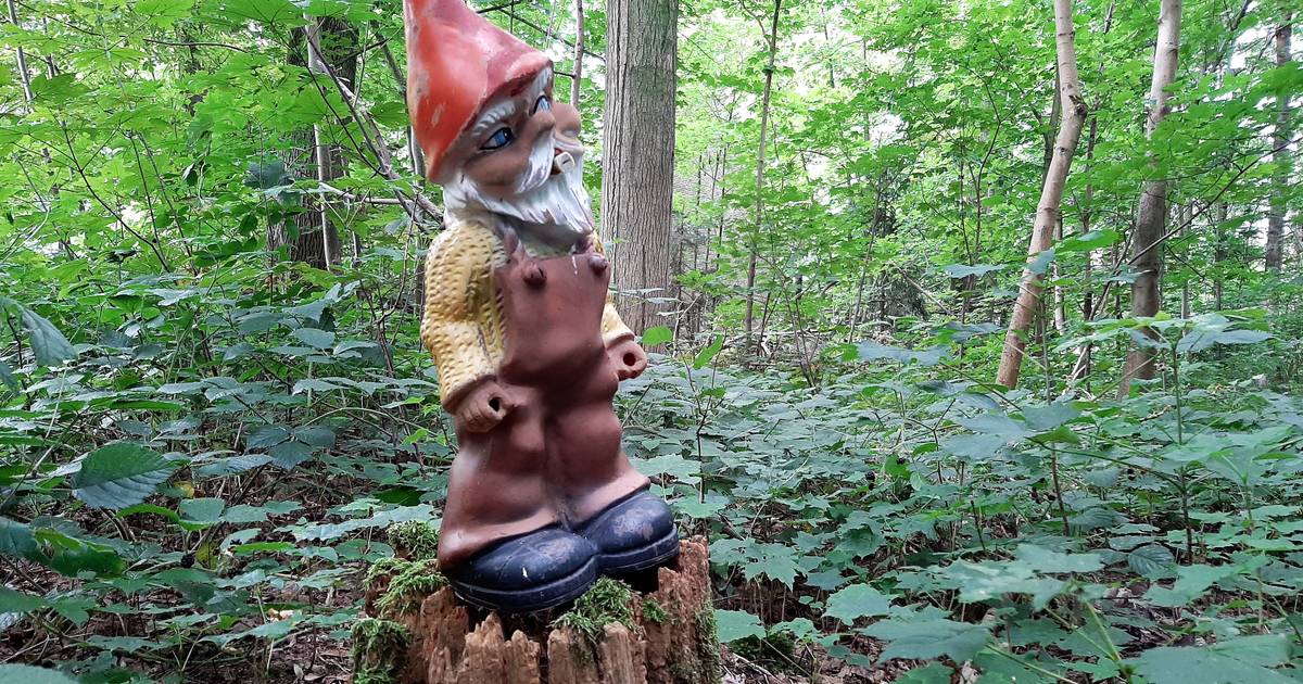 De terugkeer van de kabouters in Horssen na de invasie dieven en vandalen - De Gelderlander