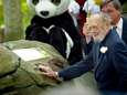 Met de PandaDroom stopt ook de ingewikkelde samenwerking tussen de Efteling en het WNF: ‘Het was soms knokken’