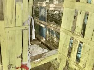 Un enfant handicapé de 13 ans enfermé dans une cage depuis des années: l’affaire qui secoue le Venezuela