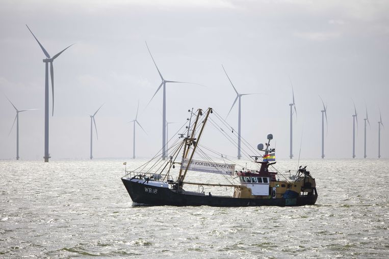 IJsselmeerkotters, garnalenkotters en Noordzeekotters varen in protest langs de Afsluitdijk om te protesteren tegen windmolens, die beslag leggen op hun visgrond. Beeld ANP
