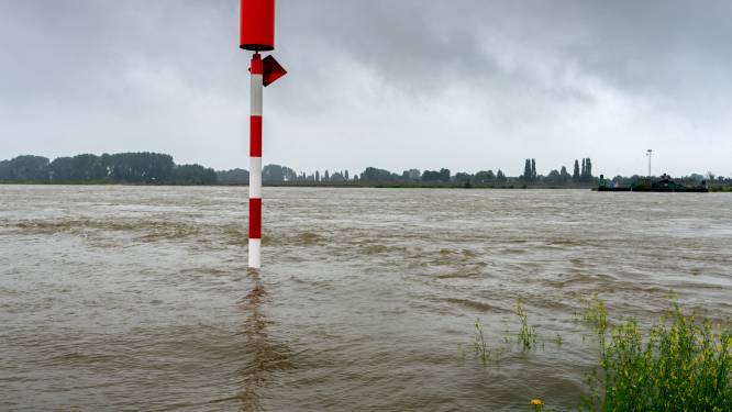 Rijkswaterstaat: ‘Blijf weg uit de Maas, zwemmen of dobberen op luchtbedje levensgevaarlijk’