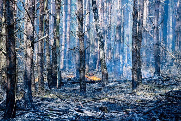 Natuurbrand woedt bij landgoed De Utrecht in Esbeek