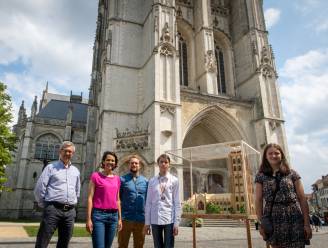 Miniatuurversie Sint-Rombouts van leerlingen TSM krijgt plek in kathedraal