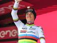 Remco Evenepoel.