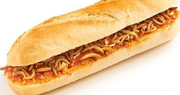 'Broodje meelworm' bij pompstation Total nog geen succes - AD.nl