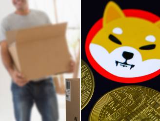 Riskante gok met Shiba Inu levert magazijnier (35) genoeg geld op om te stoppen met werken