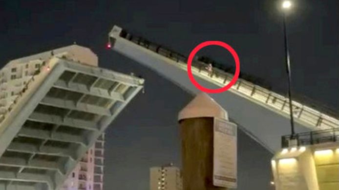 Une scène incroyable filmée à Miami en Floride.
