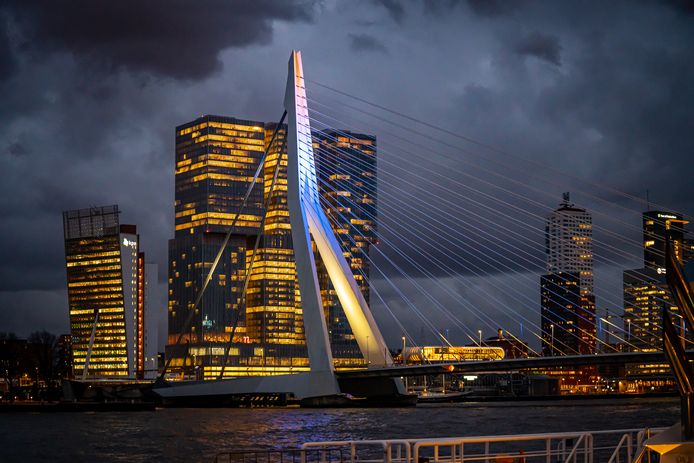 De Erasmusbrug in Rotterdam.