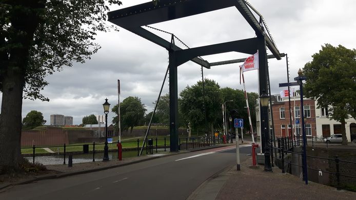 Broedende vogels bij de Boombrug zorgen er mede voor dat Maritiem dit jaar niet gehouden kan worden.