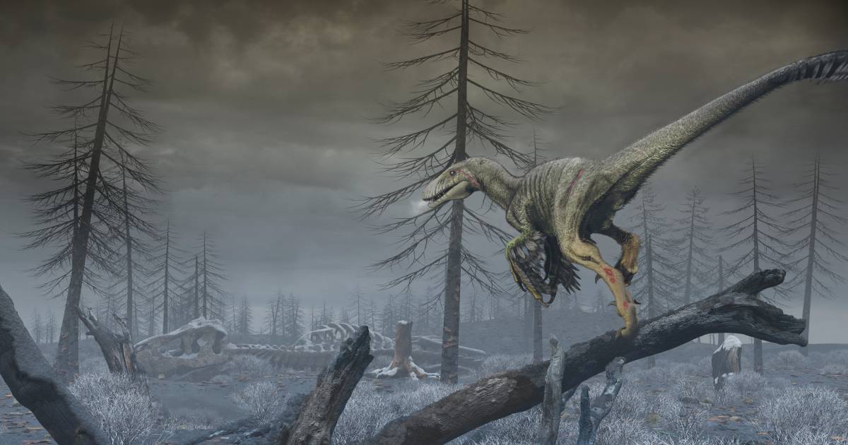 According to Belgian scientists, microparticles herald the eventual end of dinosaurs: ‘a chain reaction of extinction started’ |  Science and the planet