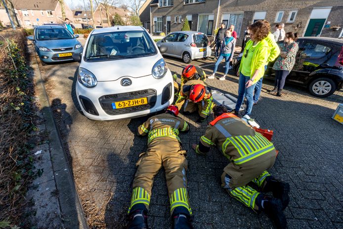 De brandweer bevrijdde een hond die onder een auto kwam na een aanrijding.