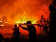 Portugal geteisterd door bosbranden: acht gewonden, vermoedelijke brandstichter opgepakt