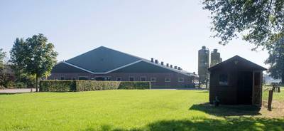 Omstreden megastal bij Geesteren mag toch uitbreiden