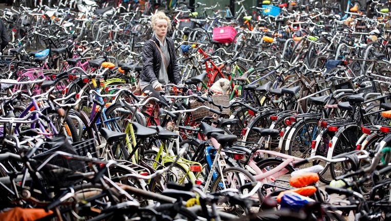 De stad is al jaren bezig iets te doen aan de chaos van de vele geparkeerde fietsen. Daar komen nu de vele deelfietsen bij Beeld anp