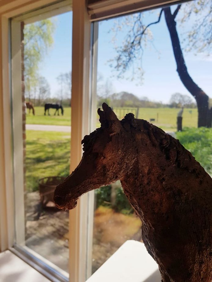 De Expositie ‘a Horse of Course’ is van 1 mei tot 26 juni te bezoeken.
