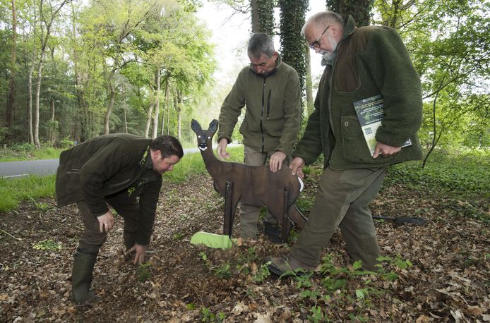 Enkele jaren terug zijn er hier en daar door de WBE West-Twente silhouetten van reeën geplaatst zoals aan de Klokkendijk in Notter (foto). Als waarschuwing tegen overstekend wild.