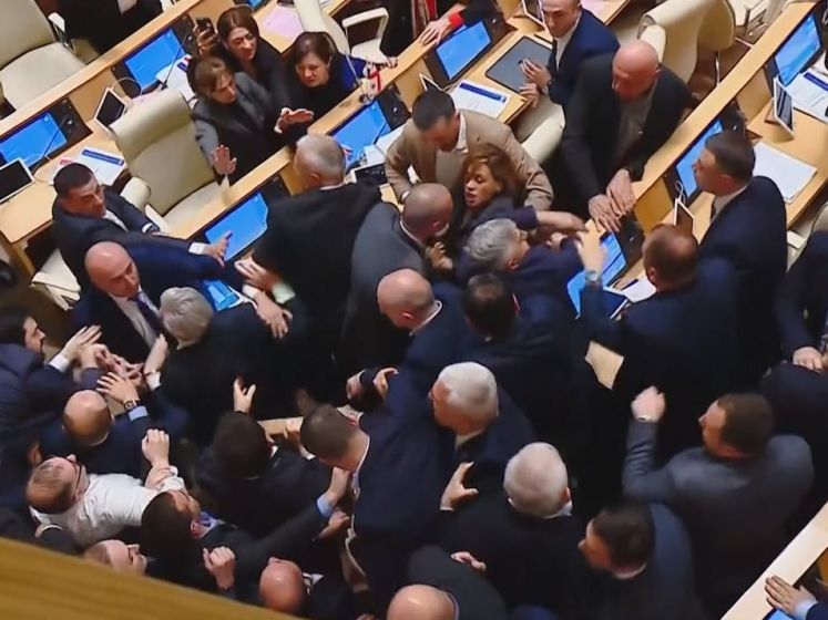 Georgische politici slaags met elkaar vanwege omstreden wet