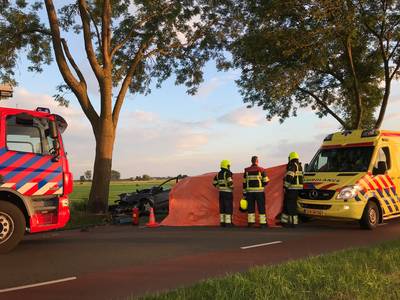 Man overleden na botsing tegen boom bij Hedel