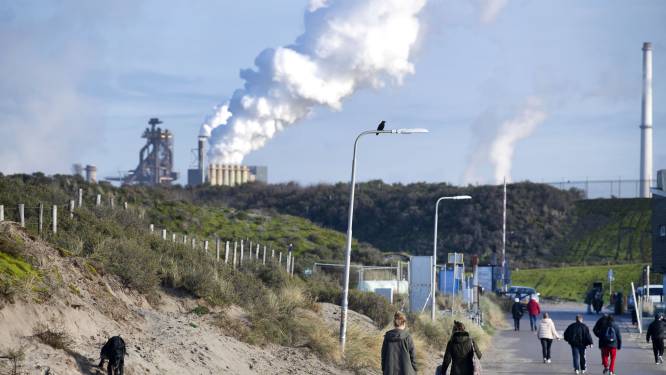 Directie Tata Steel woest na radicale taal personeel over klimaatactivisten: ‘Onacceptabel’
