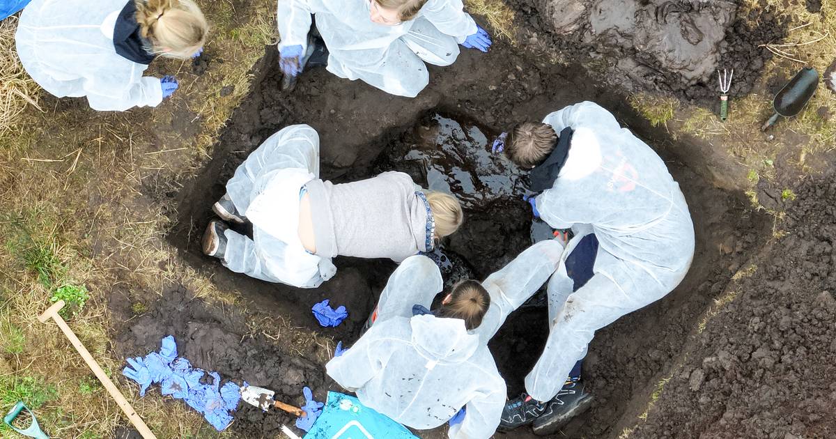 CSI-drone ‘leert’ in Bentelo stoffelijke overschotten zoeken: speuren naar dertien biggen onder groe