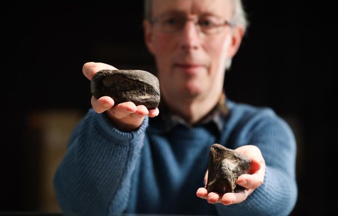 Paleontoloog Mike Simms toont de fossielen die een Noord-Ierse leraar in de jaren 80 van vorige eeuw op een strand aantrof.