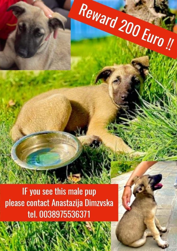 Flyers om spoorloze Mizo terug te vinden.