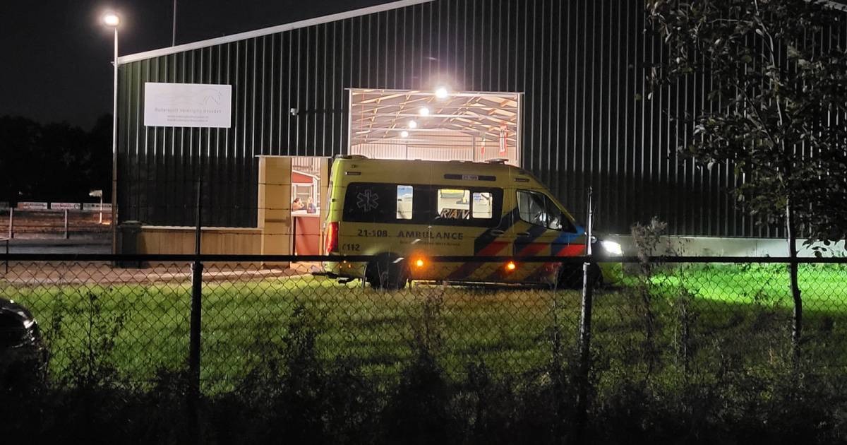 Meisje gewond door val van paard in Elshout, traumahelikopter komt naar manege - BN DeStem