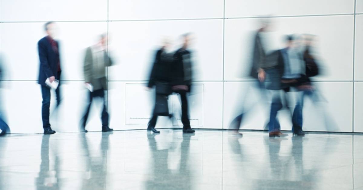 Jonkers Middelbeers uitgebreid tot 3,7 ha