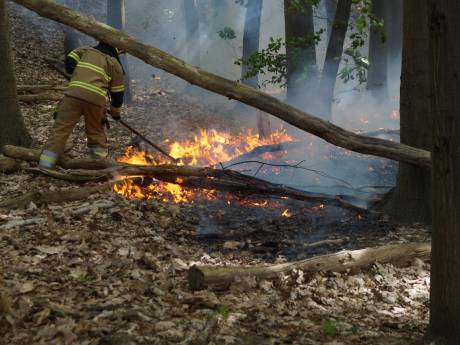 Brand in bos bij Vlijmen, 18-jarige vrouw aangehouden voor weggooien kapotte aansteker