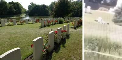 Un couple s’adonne aux plaisirs de la chair dans un cimetière militaire d’Ypres: “Intolérable”