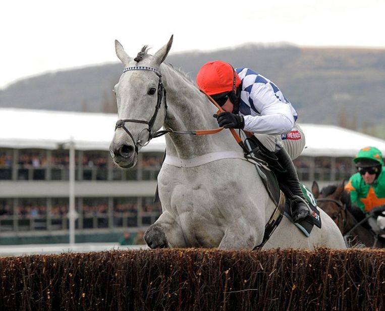 Ruiter B Geraghty op Simsonig tijdens winst in Cheltenham in 2013.