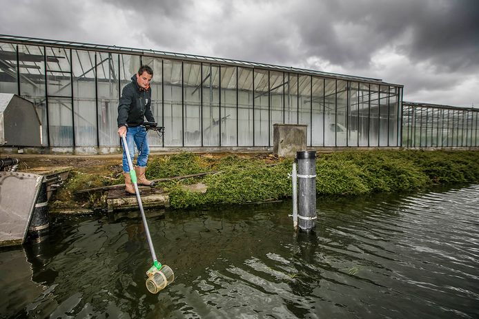 Handhavers van het Hoogheemraadschap van Delfland die de waterkwaliteit in het glastuinbouwgebied meten.