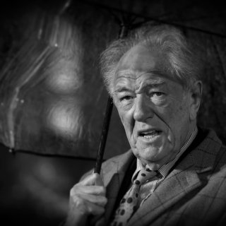 Ierse acteur kroop prachtig in de huid van The Singing Detective en professor Perkamentus