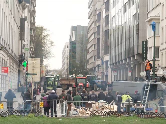 Morgen opnieuw Europese boerenbetoging in Brussel: politie waarschuwt voor grote verkeershinder