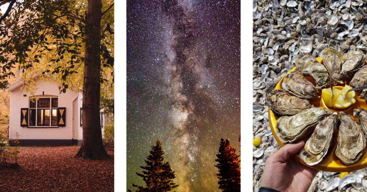 6 destinazioni segrete nelle vicinanze danno il meglio di sé in autunno.  “Qui puoi ritirare ostriche gratis” |  Nina