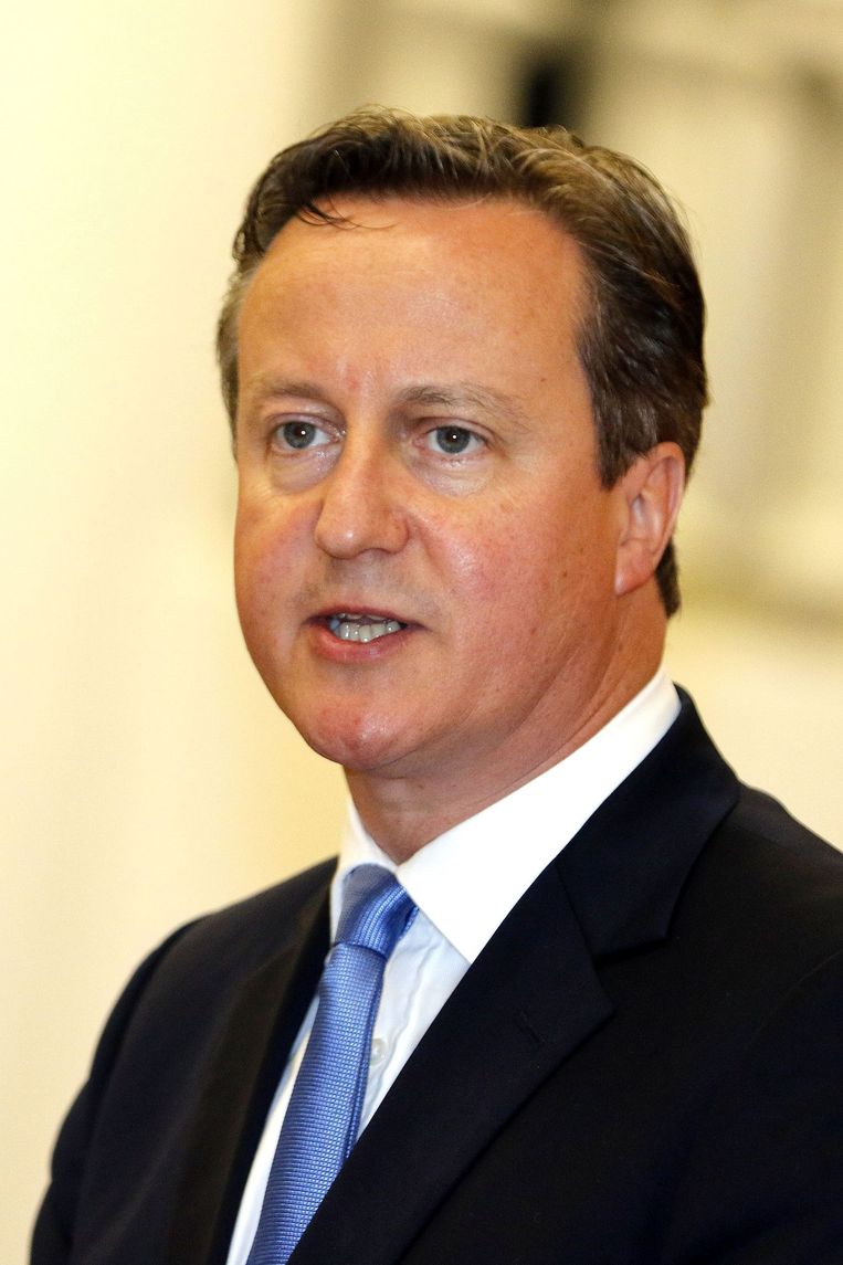 David Cameron vindt de situatie 'zorgelijk'. Beeld anp