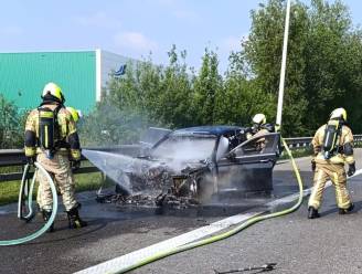 Auto brandt uit op E17: bestuurder kan op tijd uit wagen geraken