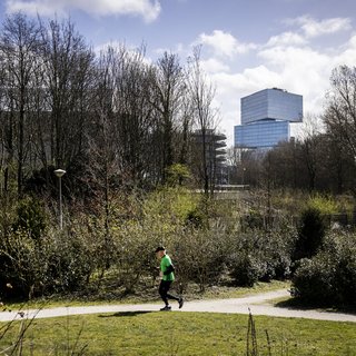 Buurtbewoners opgelucht dat erotisch centrum van de baan lijkt: ‘Het was vragen om problemen’