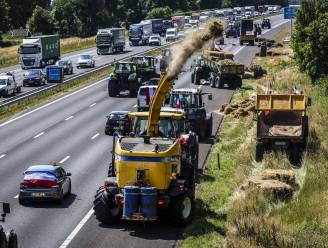 Ook Vlaamse boeren voeren vanavond actie tegen stikstofbeleid