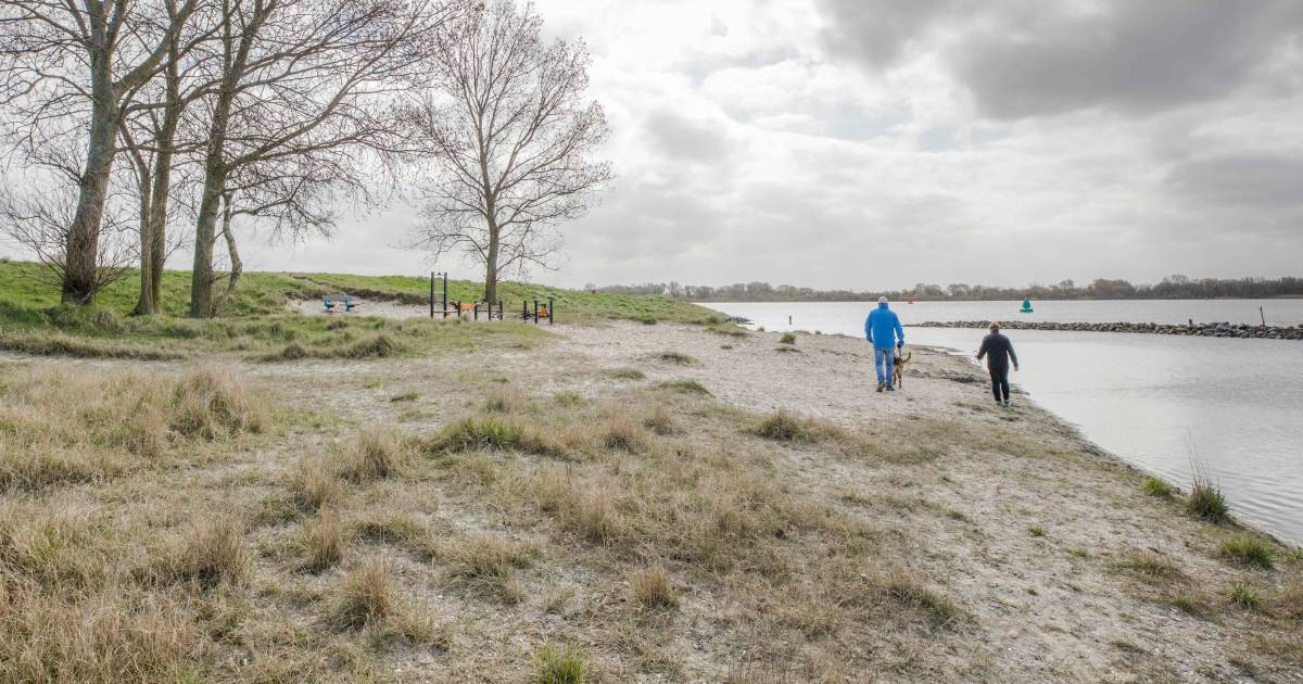 Strandje Geersdijk krijgt opknapbeurt; ‘Geef ons een steiger’, vragen duikers