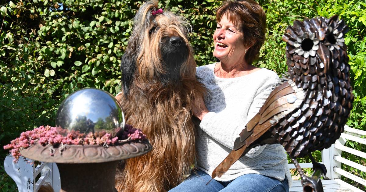 In de tuin van Conny en Ben gaat niet altijd alles volgens plan: ‘Tuinieren is omgaan met teleurstel