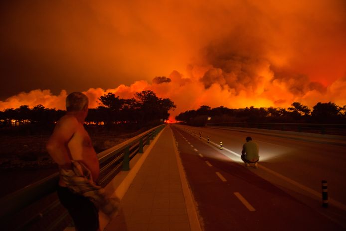 16 oktober 2017: een man probeert de vlammen te blussen in Vieira de Leiria, in het centrum van het land. Het inferno bezorgt het zuiderse land het zwartste jaar uit haar geschiedenis.