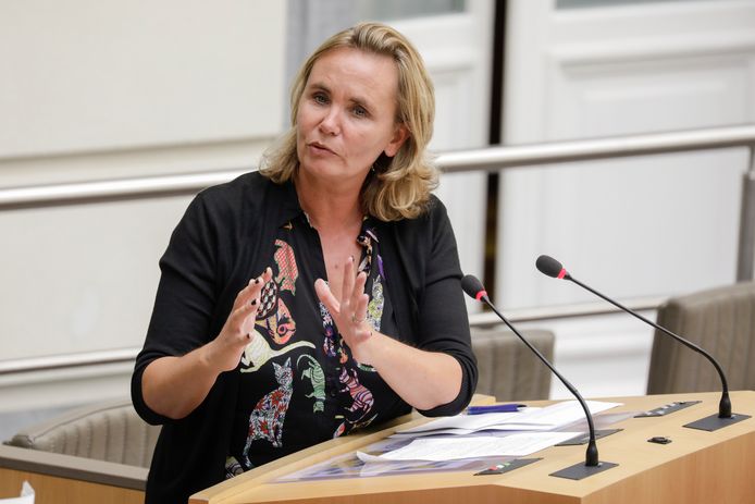 Vlaams minister van Bestuurszaken Liesbeth Homans (N-VA)