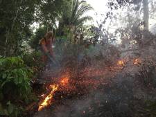 Incendies en Amazonie: le gouvernement brésilien libère de nouveaux moyens