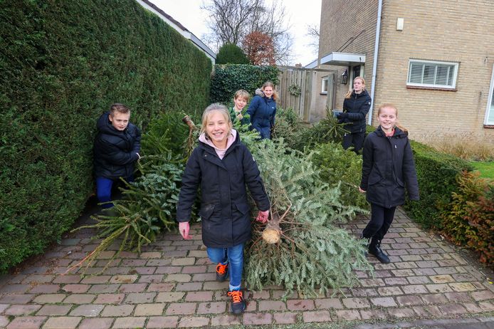 Slechte factor Brochure emulsie Bestse kinderen halen naast kerstboom soms ook een extraatje op | Best,  Meierijstad en Son | ed.nl