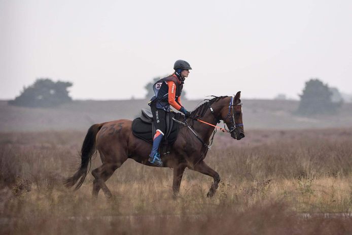 Michelle Nooijen op haar paard Czartowczyk