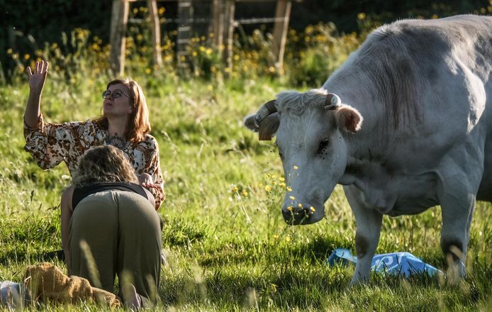 Yoga in de weide.