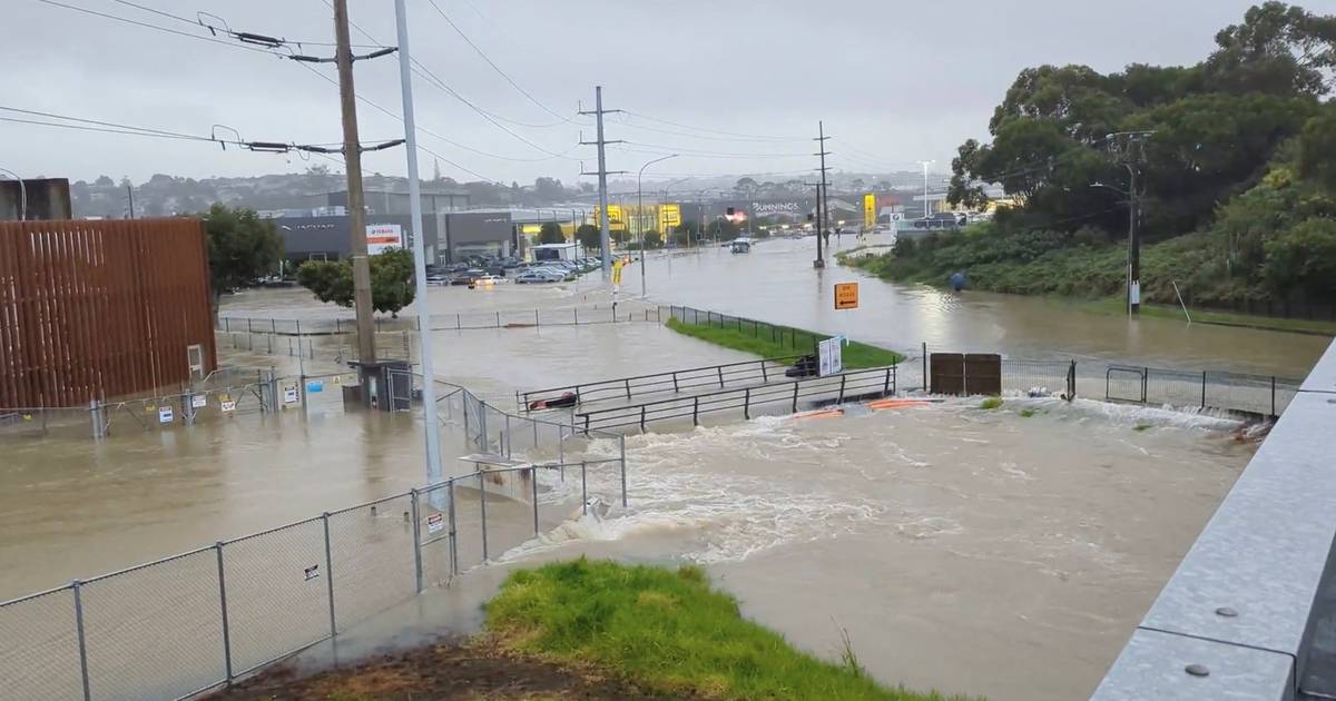 At least two dead in floods in New Zealand |  Abroad